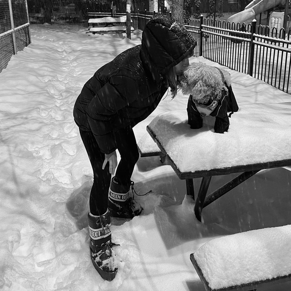 Meet your Posher, Mathilde - Picture 1 of 1